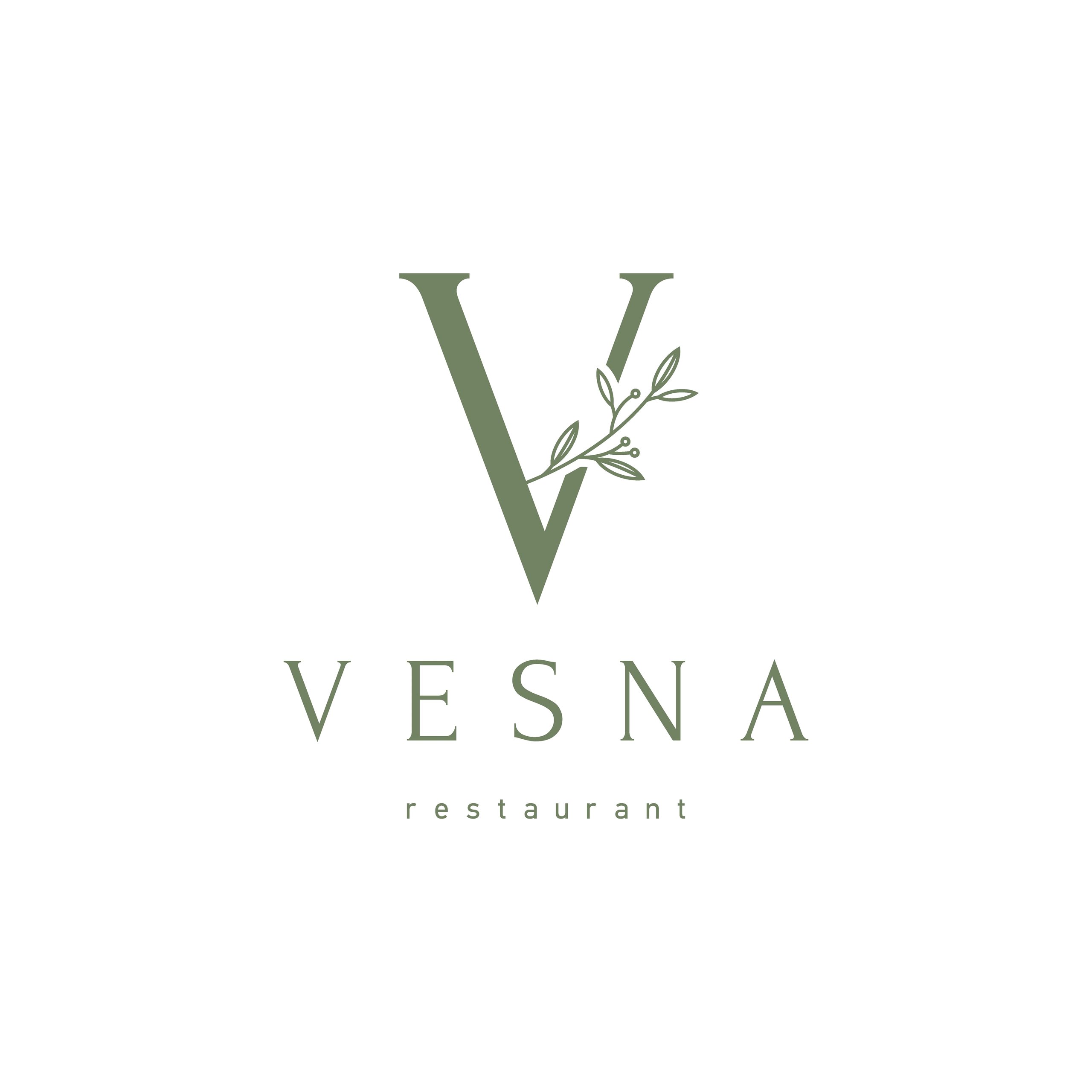 vesna_logo-01